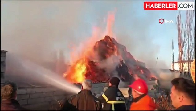 Iğdır'da 200 küçükbaş hayvan son anda kurtarıldı