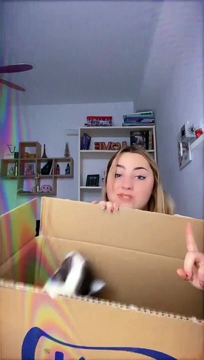 Cat Launches Surprise Attack From Cardboard Box
