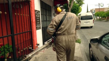 La llegada de un nuevo serotipo pone en alerta a municipios costeros y del sur de Jalisco