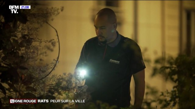 LIGNE ROUGE - Les gens ne s'imaginent pas tous les endroits où on peut trouver des rats