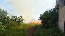 Incêndio em vegetação preocupa moradores no 14 de Novembro