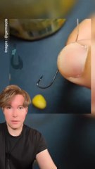 Comment Mettre Efficacement l’Appât sur l’Hameçon 🎣