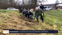 Environnement la plantation de haies pour réserver la biodiversité