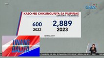 DOH: Tumaas ng 382% ang kaso ng Chikungunya sa Pilipinas mula noong 2022 | UB