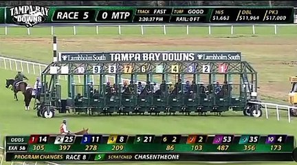 Trifecta venezolana pone a pagar el Pick 5 de Tampa Bay este miércoles
