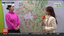 [출근길 인터뷰] '청룡의 기운' 받아볼까…해돋이 명소 6곳