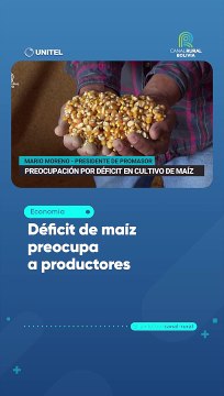 Déficit de maíz preocupa a productores