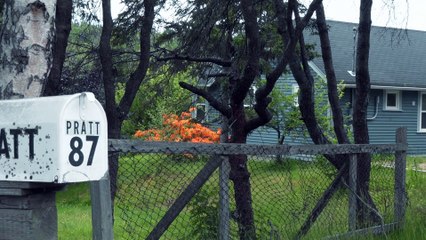 Immaculate Memories: The Uncluttered Worlds of Christopher Pratt | movie | 2018 | Official Teaser