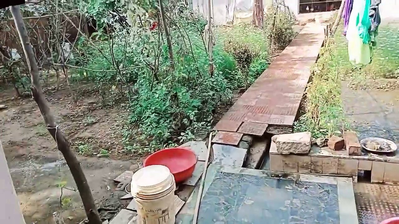 बुआ का घर  और उनका बगान ☺️