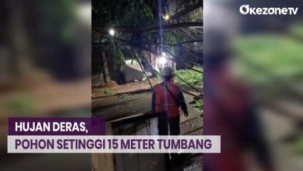 Pohon Setinggi 15 Meter Tumbang akibat Hujan Deras dan Angin Kencang
