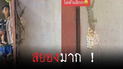 หัวใจจะวาย... เปิดประตูบ้านแล้วมาเจอแบบนี้ไหวไหมถามใจดู