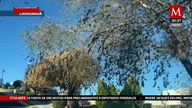 Frente Frío número 19 provoca bajas temperaturas en todo México