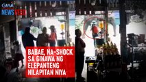 Babae, na-shock sa ginawa ng elepanteng nilapitan niya | GMA Integrated Newsfeed