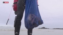 Noël 2023 : des plongeurs amateurs ramassent eux-mêmes les coquilles Saint-Jacques pour les fêtes de fin d’année
