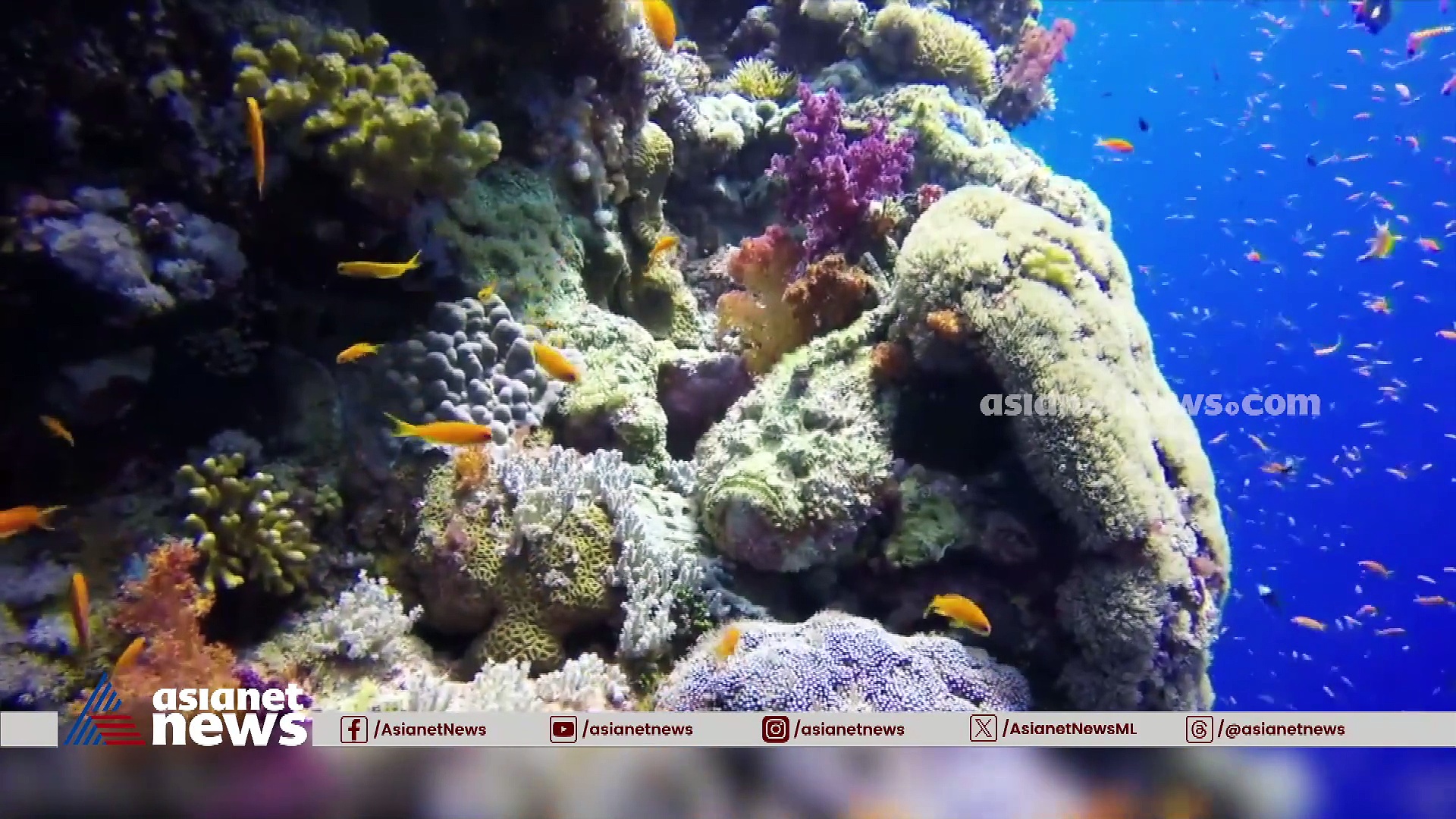 സൗദിയുടെ ടൂറിസം ലോകം കാണാൻ പോകുന്നതേ ഉള്ളൂ | GULF ROUND UP