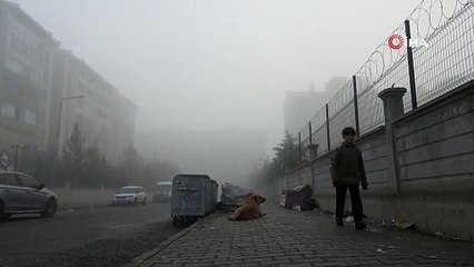 Bir şehir sise gömüldü! Uçak seferleri rötar yaptı