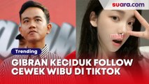 Gibran Keciduk Follow Cewek Ini di TikTok, Warganet: Kepencet Mas?