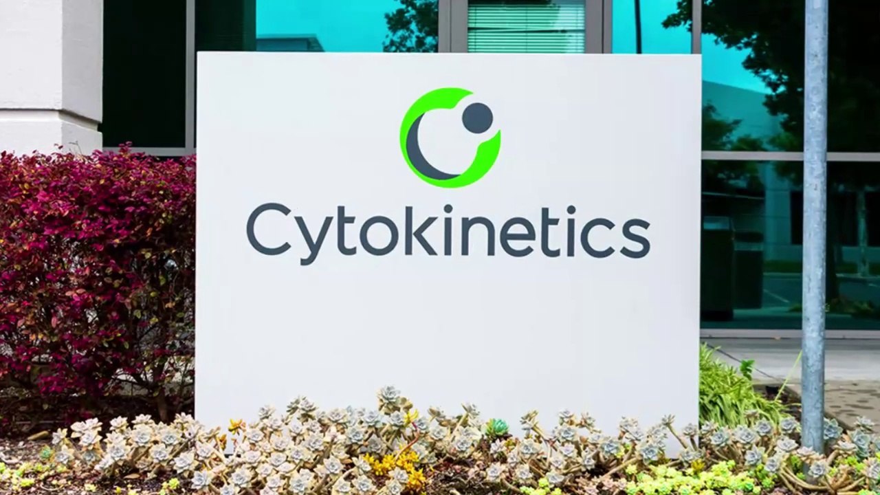Cytokinetics Breakthrough Sends Stocks Skyrocketing || Short News