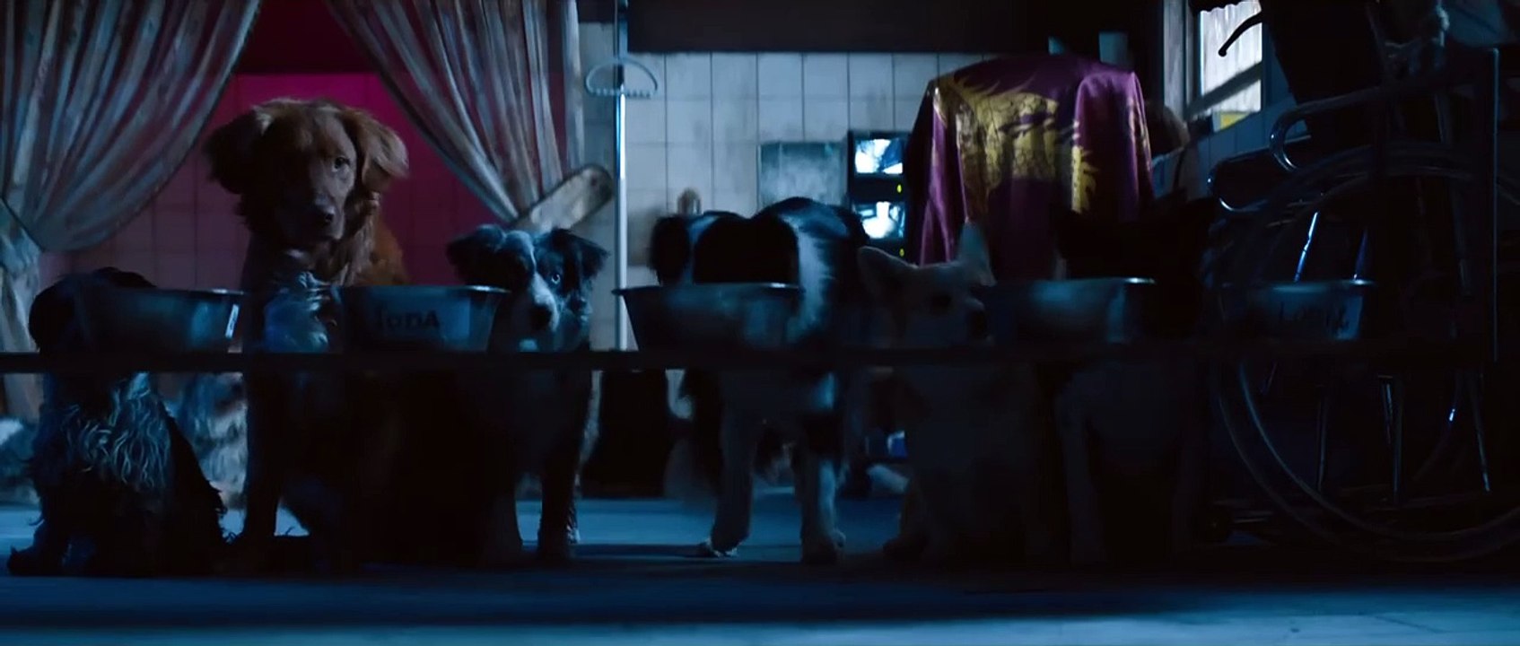 Dogman