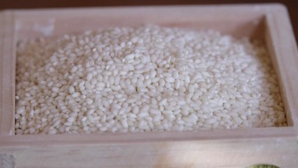 [녹색] 가루쌀 '바로미2' 안정생산 기술 안착 / YTN