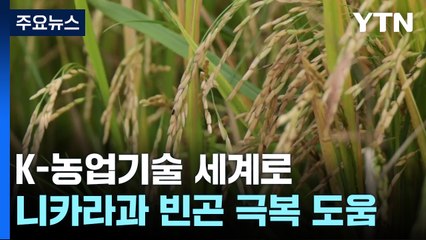 [녹색] K-농업기술 세계로...니카라과 빈곤 극복 힘 보탠다 / YTN
