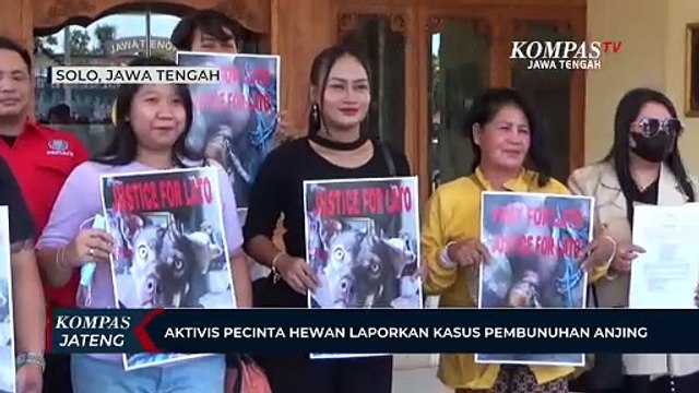 Aktivis Pecinta Hewan Laporkan Kasus Pembunuhan Anjing