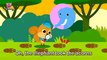 Who Took the Acorns   Animal Songs   Learn Animals   Pinkfong Animal Songs for Children