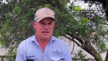 Jesse Brown, HF Richardson, at Colac weaner sale | Stock & Land | January 3