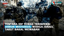 Tentara IDF Tewas Terinfeksi Jamur Misterius, Warga Israel Takut Bakal Mewabah