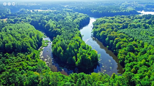 Исцеляющая музыка для снятия стресса, усталости, депрессии, детоксикации негативных эмоций #3