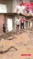 Lodo y piedras anegaron las calles de la comunidad Villa Mercedes, en La Asunta. La mazamorra llegó hasta unas 50 viviendas, por lo que, los vecinos aportaron cuotas de Bs 200 para hacer desvíos de agua y piden más colaboración de las autoridades