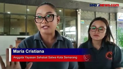 Truk Berisi Ratusan Anjing yang Diduga Akan Dibawa ke Rumah Pemotongan Hewan