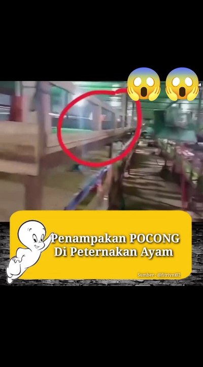 Pen4mpakan H0ROR.!! Terlihat jelas penampakan Pocong di dalam peternakan ayam.