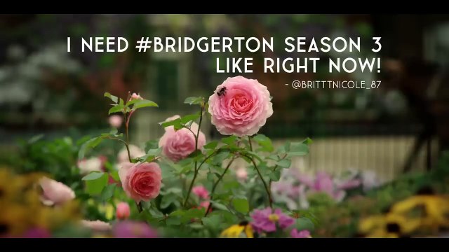 Bridgerton Saison 3 - Date Announcement (EN)