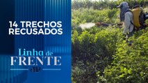 Governo sanciona com vetos lei sobre agrotóxicos | LINHA DE FRENTE