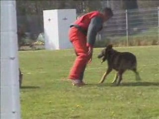 Sélectif Ring Lomme 2007