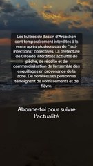 Les huîtres du Bassin d'Arcachon sont temporairement interdites à la vente après plusieurs cas de "toxi-infections" collectives.