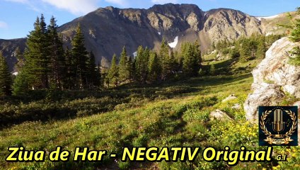 NEGATIV Original - Ziua de Har