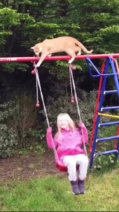 Funny_And_Cute_Animal_Videos_Try_Not_To_Laugh_Or_Smile(720p)