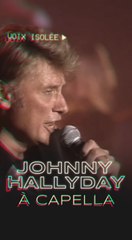  La voix de Johnny Hallyday isolée sur son Live de Bercy en 1999 