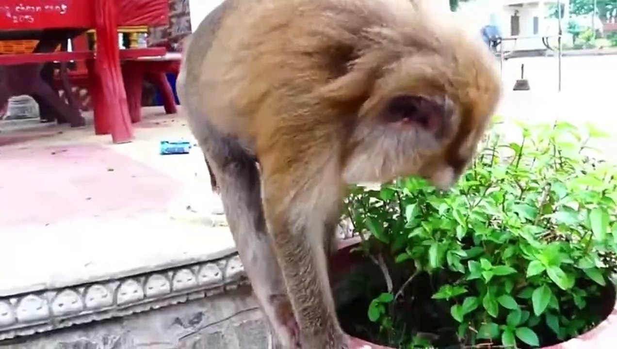 Newborn baby looks so adorable, she try hard to control balance (720p_30fps_H264-192kbit_AAC)