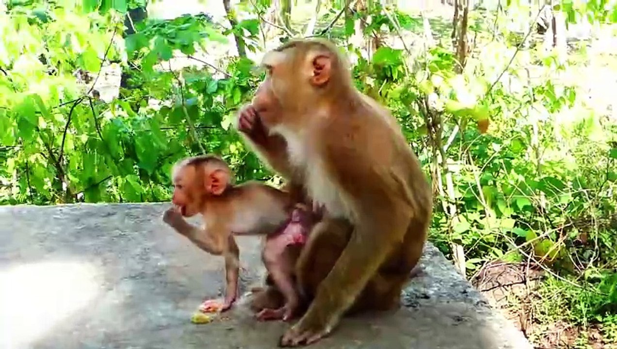 Mother Sarika Motivates Baby Saro To Walk Faster (720p_25fps_H264-192kbit_AAC)