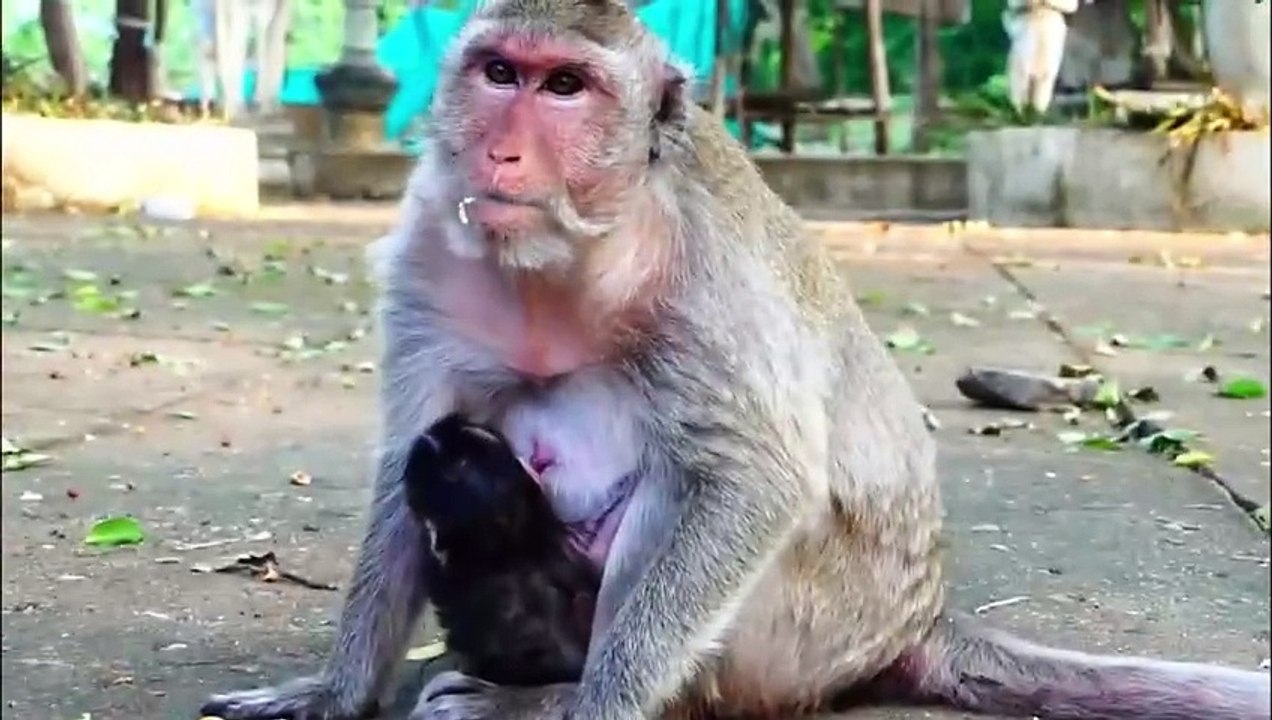 Newborn baby feels so tight, when mom holds strongly, newborn try to move ahead (720p_25fps_H264-192kbit_AAC)