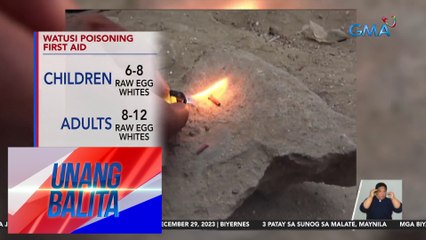 Eksperto: Hilaw na puti ng itlog, first aid sa mga nakalunok ng watusi | UB