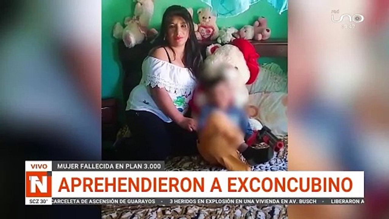 Aprehenden a exconcubino acusado de violencia familiar en el Plan 3000