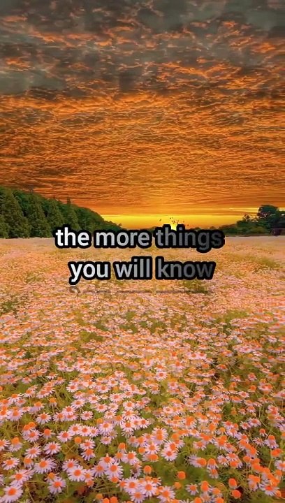 The More You That You Read