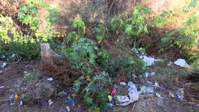 En 2023, madres buscadoras de Jalisco hallaron 20 fosas con restos humanos