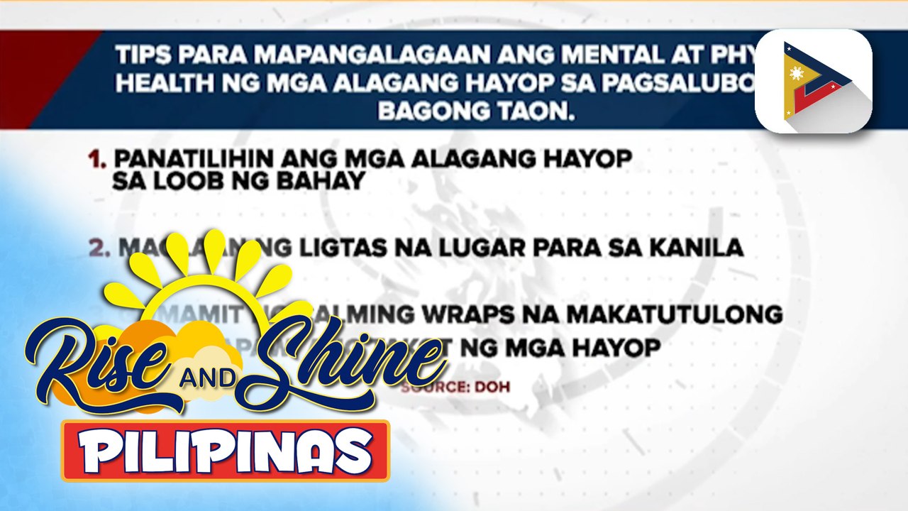 Mga alagang hayop, kailangan bantayan para 'di ma-stress sa ingay ng paputok