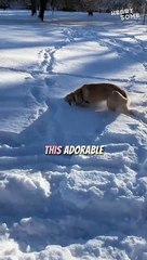 Heartwarming First Playtime in Winter Wonderland! | #heartsome