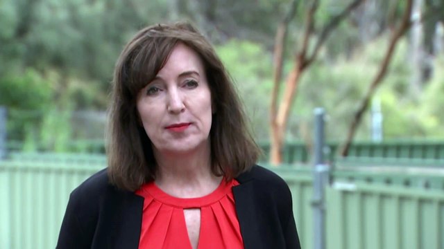 SA premier rules out shark culling after spate of fatal attacks